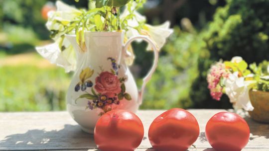 Bawole serce na talerzu. Najlepsze przepisy na dania z pomidorów
