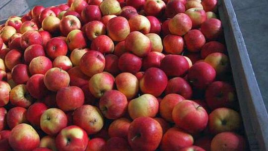 Będą nowe miejsca pracy w Janowie Lubelskim