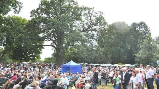 Będą obchodzić imieniny Dębu Bolko