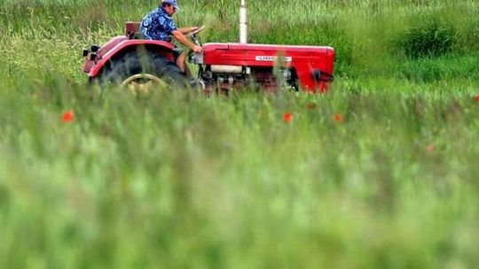 Będą pieniądze dla rolników na unowocześnienie gospodarstw