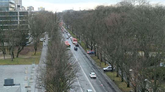 Będą przesuwać chodniki i drogi rowerowe żeby ocalić jak najwięcej drzew przy Al. Racławickich