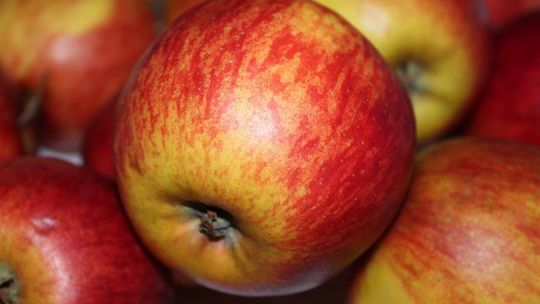 Będą rozdawać jabłka na placu Litewskim