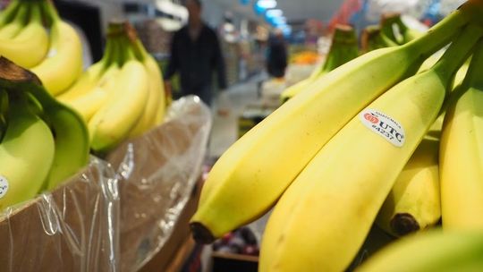 Będą zmiany cen. Mniej zapłacimy za banany, więcej na homary