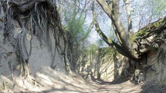 Będzie debata jak chronić Korzeniowy Dół. "Najłatwiej jest krytykować"