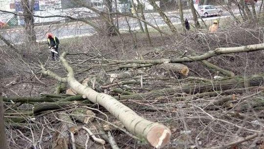Będzie duże zamieszanie na ul. Północnej. Mogą się tworzyć korki