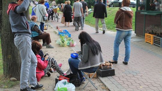 Będzie mniej za opłatę targową?