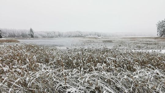 Będzie można popływać w Stawie Echo. Znamy termin pierwszej kąpieli