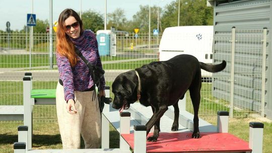 Będzie nawet dog fitness. Strefa psa w Lublinie zaczyna nowy sezon