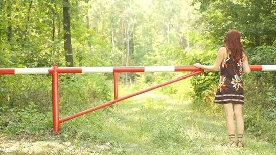 Będzie zakaz wstępu do lasów w Lubelskiem?