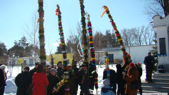 Bełżec: Co to były za palmy