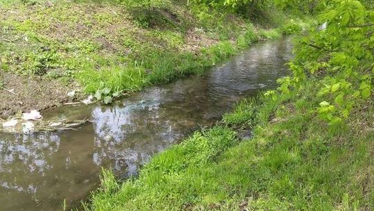 Bełżyce: Ciało mężczyzny znalezione w rzece