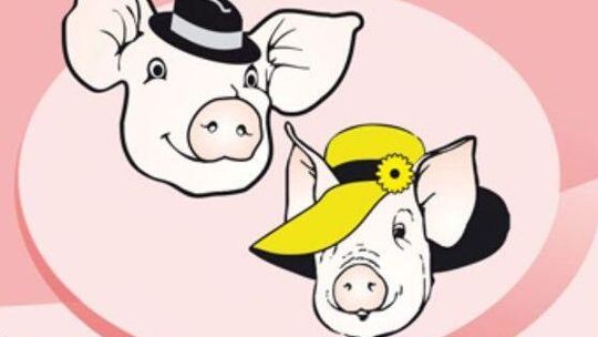 Bełżyce: Kora na święcie wieprzowiny