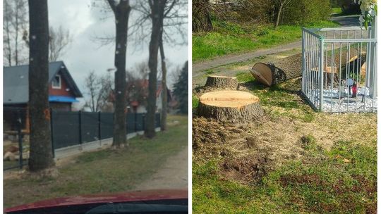 Betonozowe pobojowisko, czy potrzebna inwestycja? Spór o drogę w Starym Uścimowie