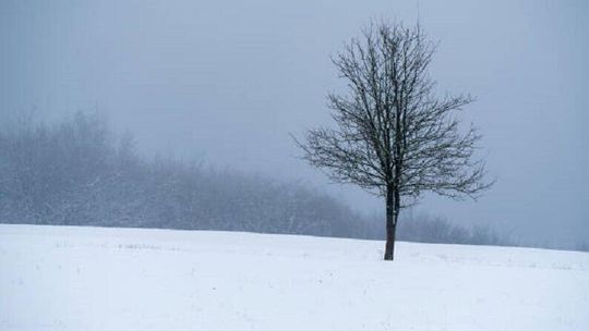 Bez światła, bez wody. Starszy człowiek cudem przeżył 