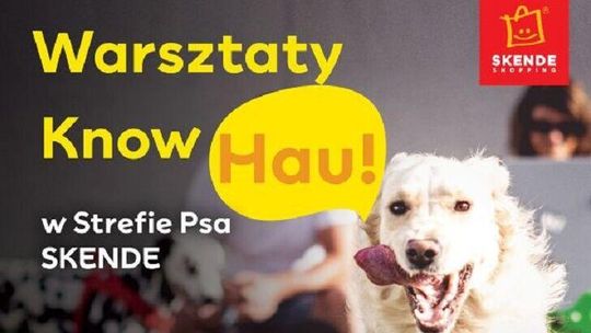 Bezpłatne warsztaty "Know Hau" w Strefie Psa SKENDE