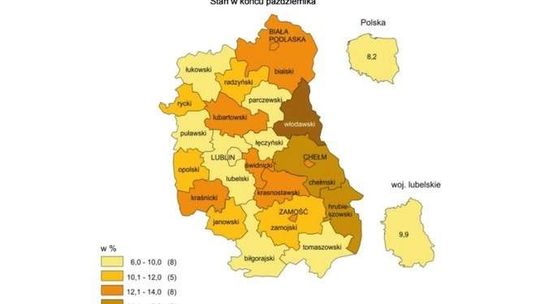 Bezrobocie w Lubelskiem: W których powiatach jest najgorzej z pracą?