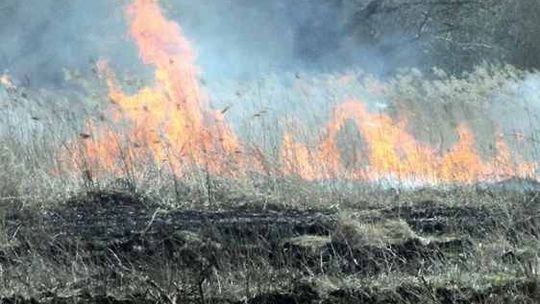 Biała Podlaska: 13-latek ze znajomymi wzniecili pożar dla zabawy