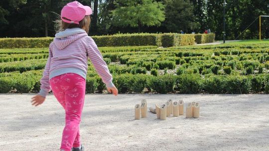 Biała Podlaska: Bukszpany w parku chorują. "To trudna do wyeliminowania choroba"