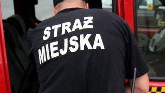 Biała Podlaska: Kongres Nowej Prawicy chce referendum. "Po co nam straż miejska?"