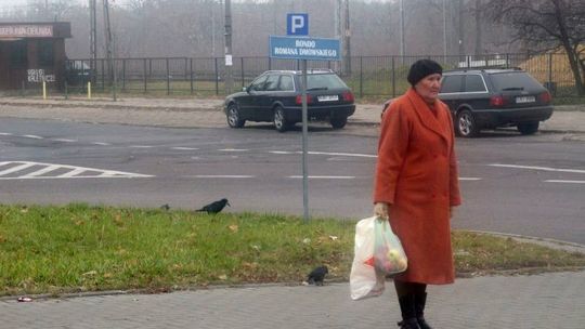 Biała Podlaska: Lepsze nazwisko lokalnego bohatera czy kwiatek?