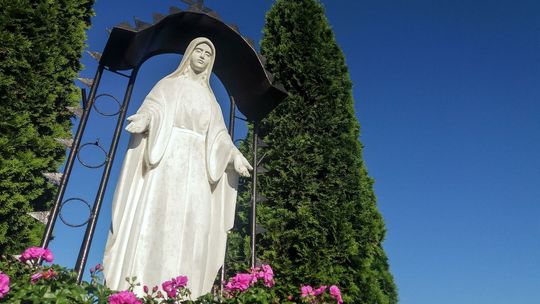 Biała Podlaska. Mieszkańcy będą mogli głosować na ołtarz