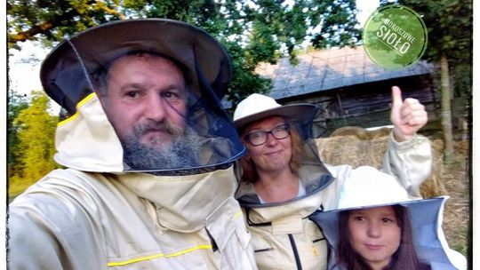 Biała Podlaska: Możesz kupić swój własny rój pszczół i mieć ekologiczny miód