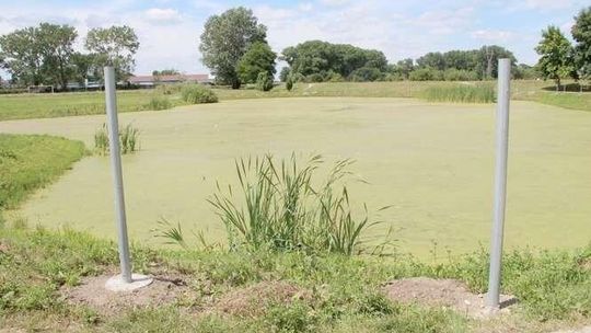 Biała Podlaska: Oczko wodne będzie za siatką. Mieszkańcy chcieli