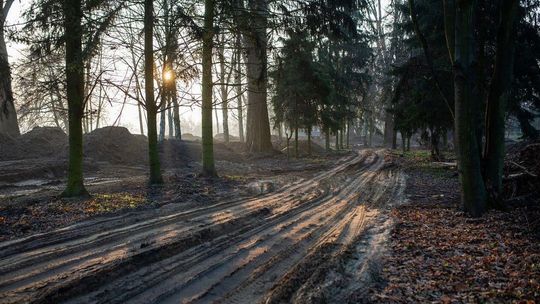 Biała Podlaska: Park znowu rozkopany. Co się zmieni?