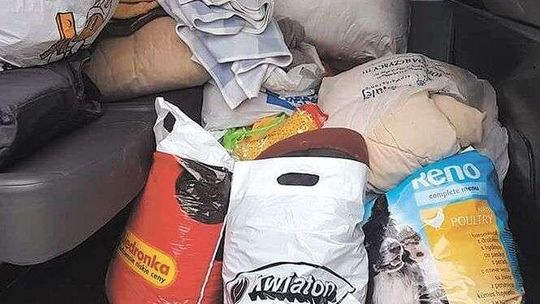 Biała Podlaska: Policjanci pomogli schronisku Azyl 