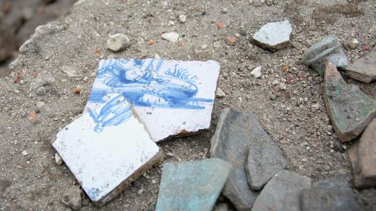 Biała Podlaska: Radziwiłłowie zajadali się ostrygami. Co mówią znaleziska w parku?