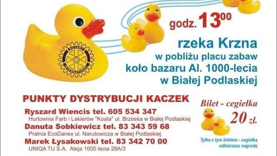 Biała Podlaska: Rotariański Wyścig Kaczek na Krznie