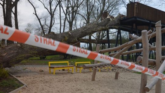 Biała Podlaska: Silny wiatr uszkodził konstrukcję w Małpim Gaju