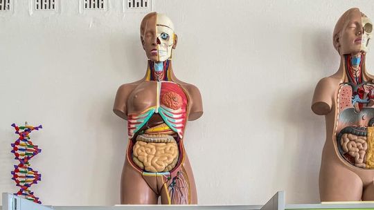 Biała Podlaska: Szkoła Podstawowa nr 9 jest Bialską Szkołą Ćwiczeń 