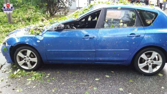 Biała Podlaska: Trzy samochody uszkodzone po piątkowej burzy (zdjęcia)