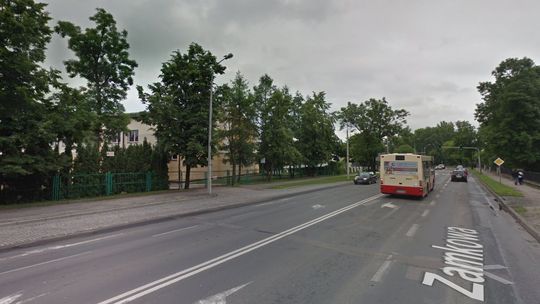 Biała Podlaska: Wytną stare, posadzą nowe drzewa