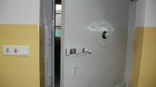 Biała Podlaska: Wywieźli znajomego do lasu i pobili