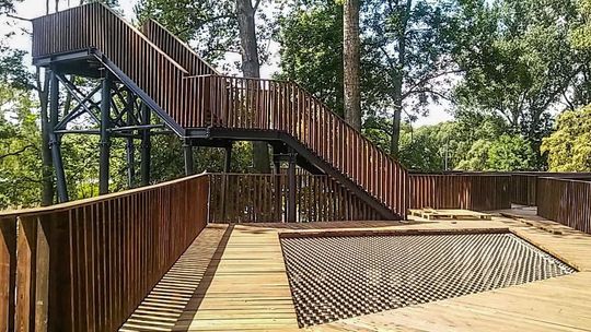 Biała Podlaska. Zobacz jak się zmienia Małpi Gaj