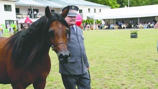 Biegli o zarządzaniu stadniną przez odwołanego prezesa. Marek Trela nie jest zaskoczony
