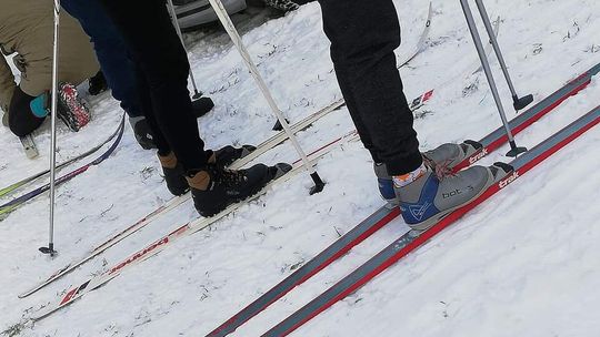 Biegówki w mieście na ścieżkach rowerowych? Radny ma pomysł 