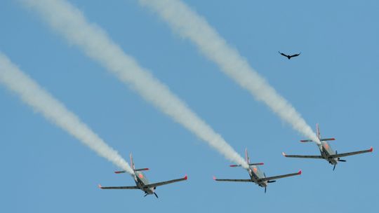 Bilety na II Świdnik Air Festival już w sprzedaży. Znamy program pokazów lotniczych
