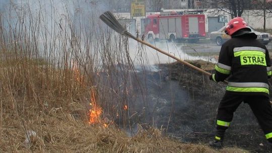 Biłgoraj: Palili trawę, wzniecili pożar