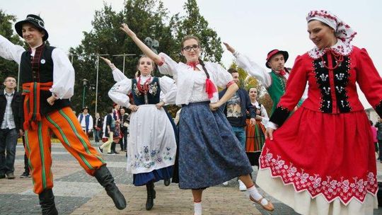 Bili rekord w wycinaniu hołubca