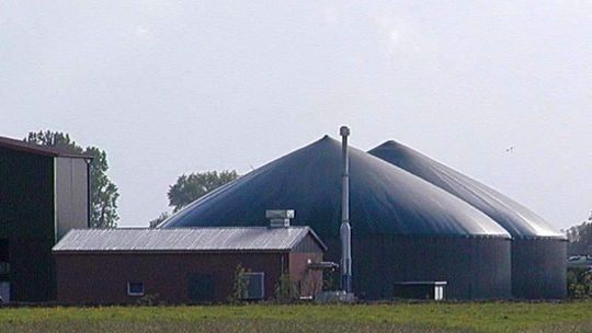 Biogazownia ma ożywić gospodarczo gminę. Mieszkańcy nie chcą takiego sąsiedztwa