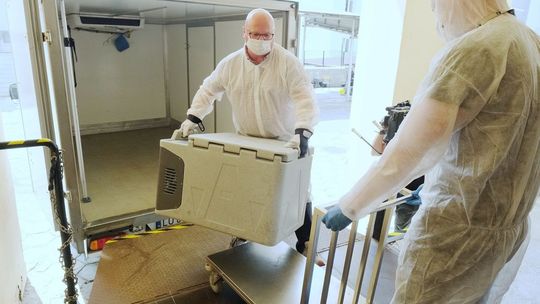 Biomed Lublin rozpoczął dziś produkcję pierwszego na świecie leku na Covid-19