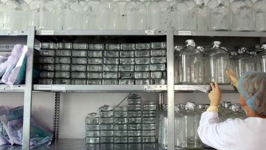 Biomed-Lublin w tarapatach. Firma walczy o przetrwanie