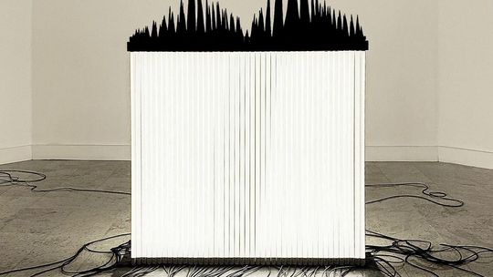 "Blackout" - wystawa Krzysztofa Franaszka w Galerii Białej