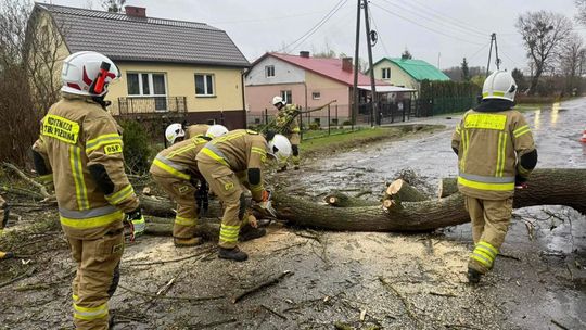 Blisko 600 interwencji i tysiące osób bez prądu. Wojewoda podsumował sytuację pogodową
