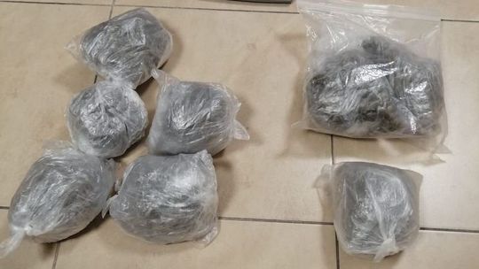 Blisko kilogram marihuany w plecaku. Rowerzysta usłyszał już zarzuty [zdjęcia]