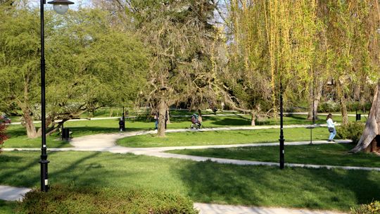 Bliżej do zmian na Skwerze Niepodległości. Poprawią alejki