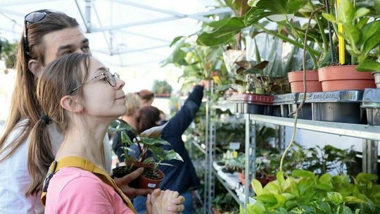 Bliżej roślin w Ogrodzie Botanicznym UMCS